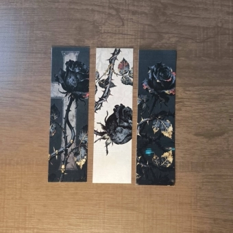 Cartões de Rosas - Kit com 3